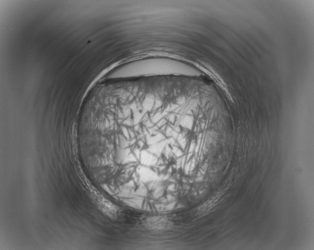 X0000082730798200702161906