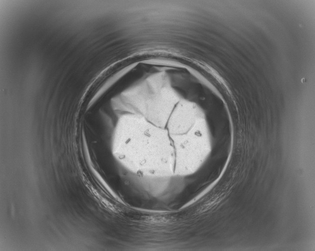 X0000082730799200702161906