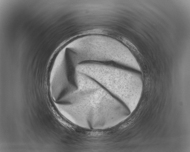 X0000082730800200702161906