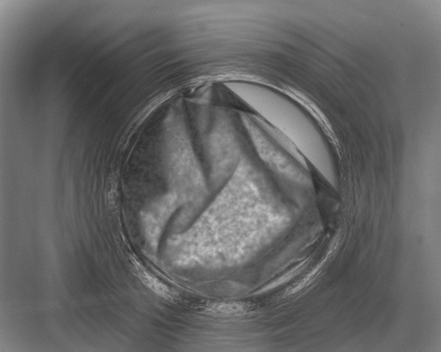 X0000082730801200702161906