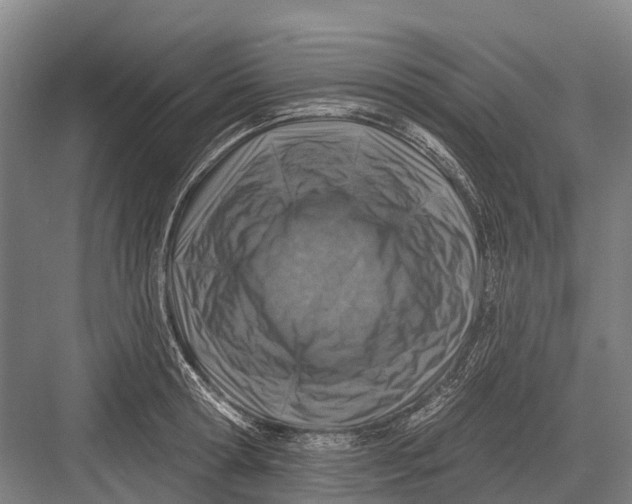 X0000082730802200702161906