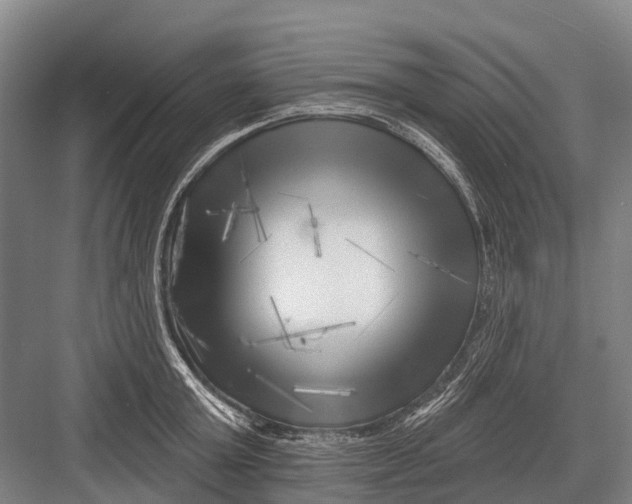 X0000082730803200702161906