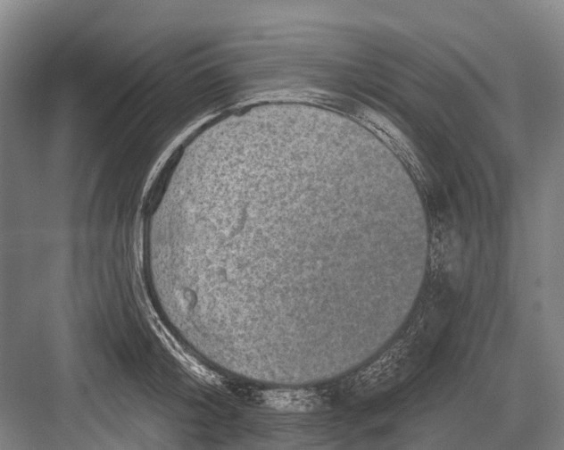 X0000082730804200702161906