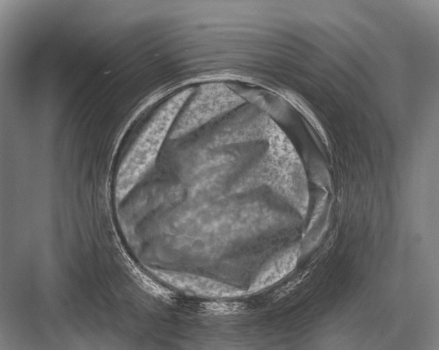 X0000082730805200702161906