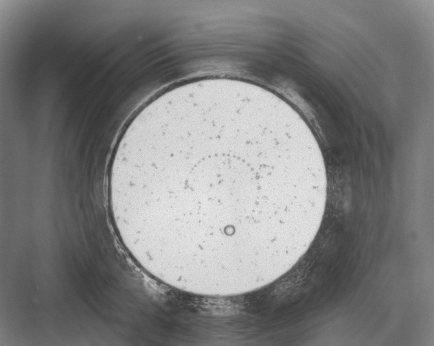 X0000082730807200702161906