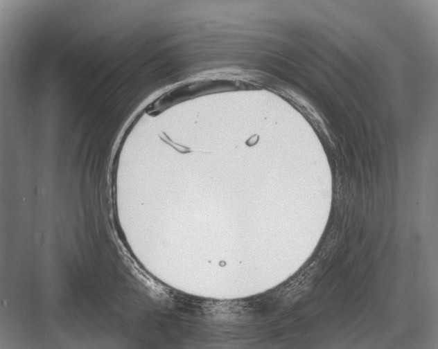 X0000082730808200702161906