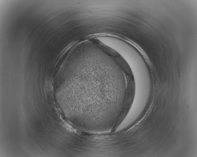 X0000082730809200702161906