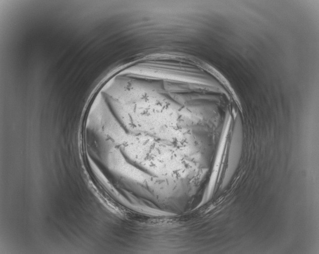 X0000082730811200702161906