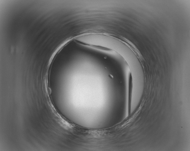 X0000082730812200702161905