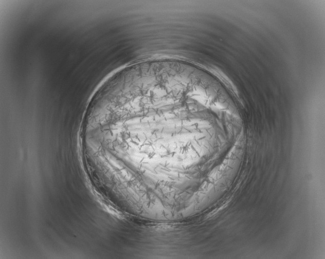 X0000082730814200702161905