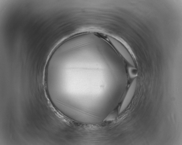 X0000082730815200702161905