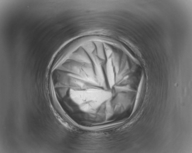 X0000082730816200702161905