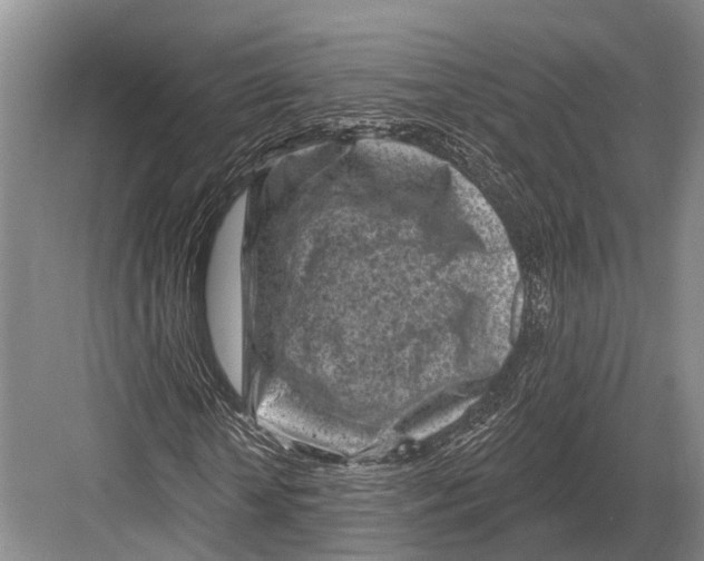 X0000082730818200702161905