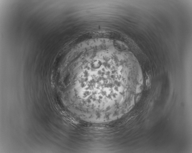 X0000082730819200702161905