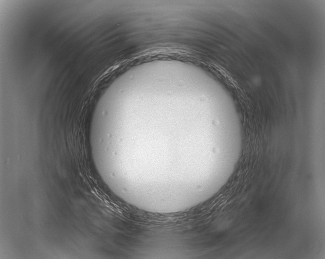 X0000082730824200702161905