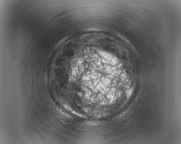 X0000082730825200702161905