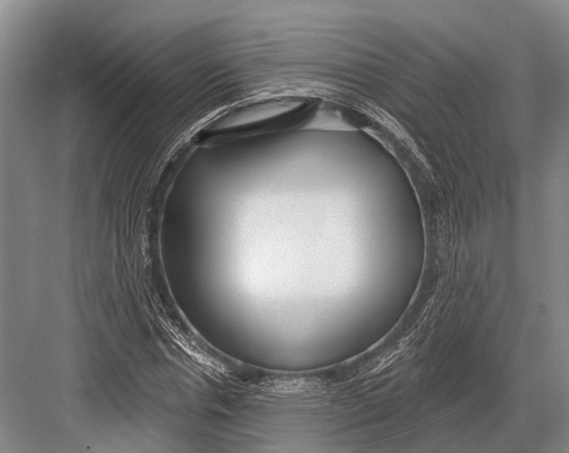 X0000082730826200702161905