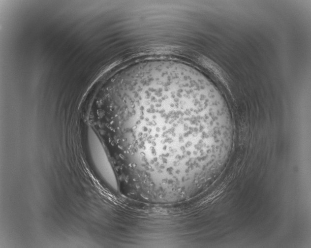 X0000082730827200702161905