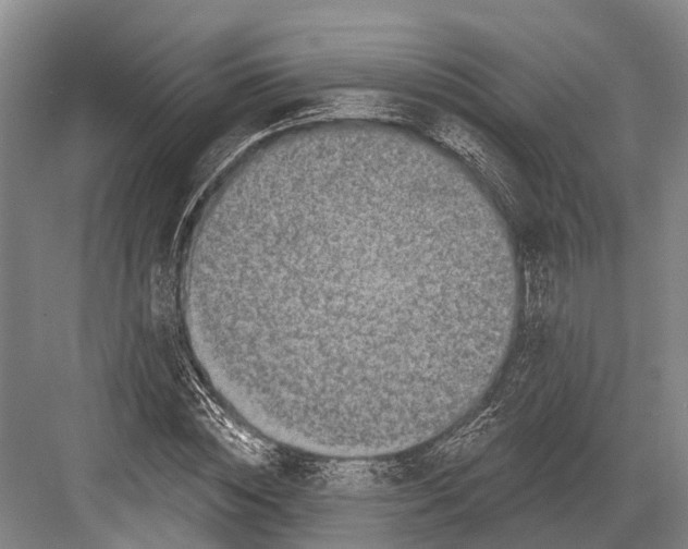 X0000082730828200702161905