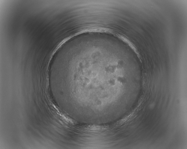 X0000082730829200702161905