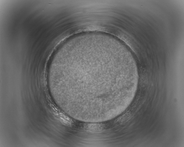 X0000082730832200702161905