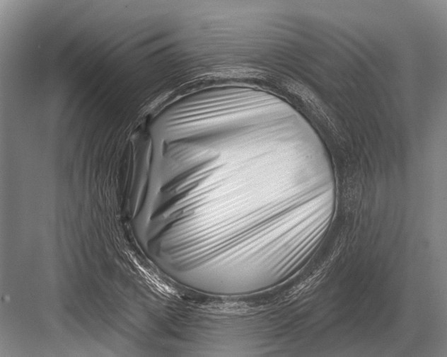 X0000082730833200702161905