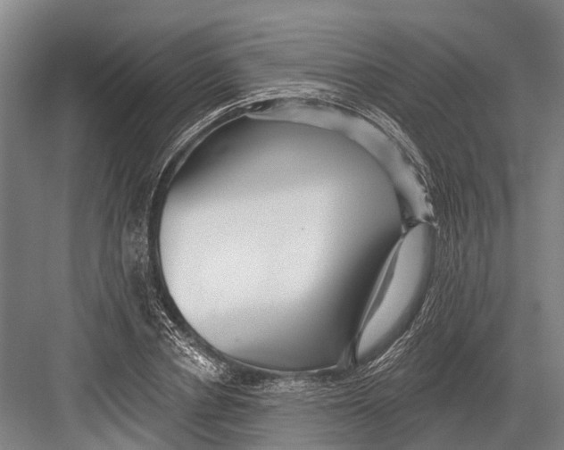 X0000082730834200702161905