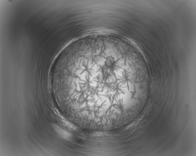 X0000082730835200702161905