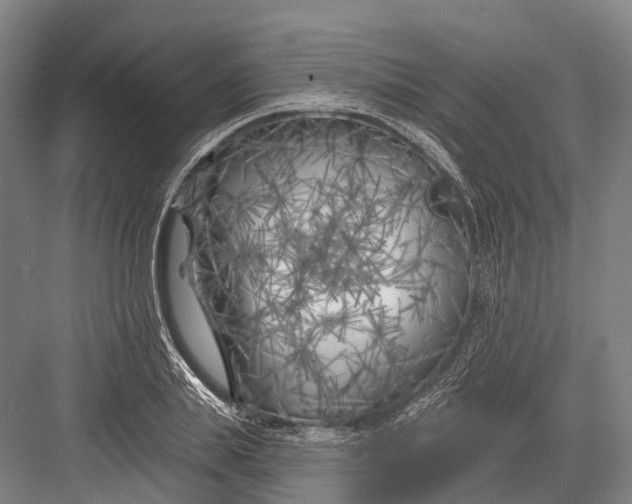 X0000082730839200702161905