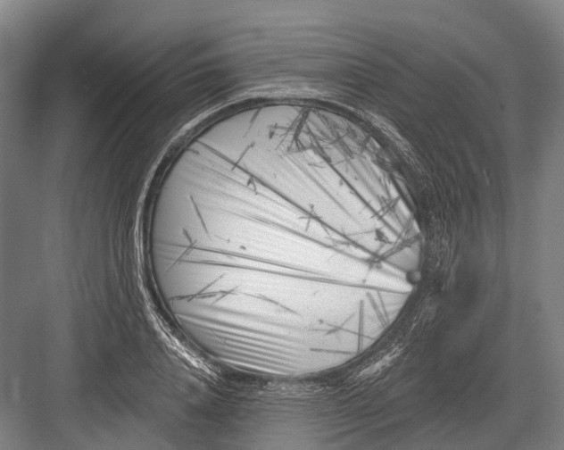 X0000082730840200702161905