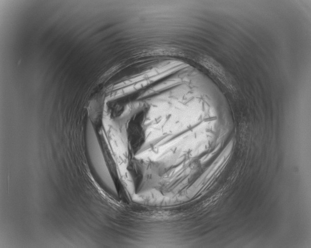 X0000082730841200702161905