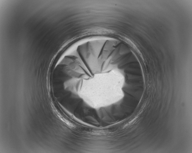 X0000082730843200702161905