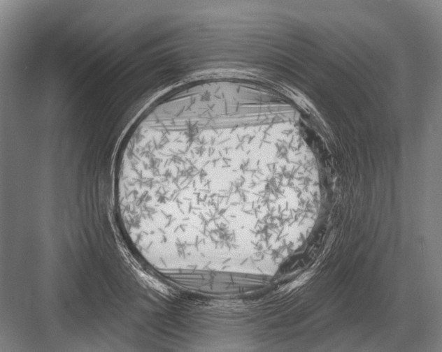 X0000082730844200702161905