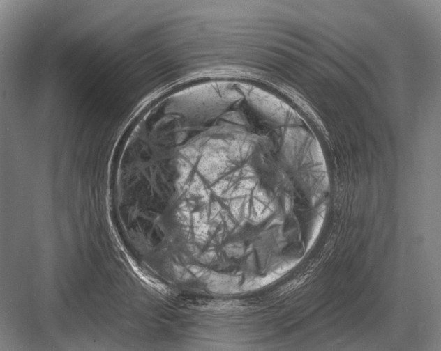 X0000082730845200702161905