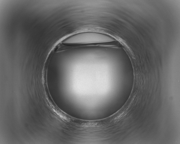 X0000082730846200702161905