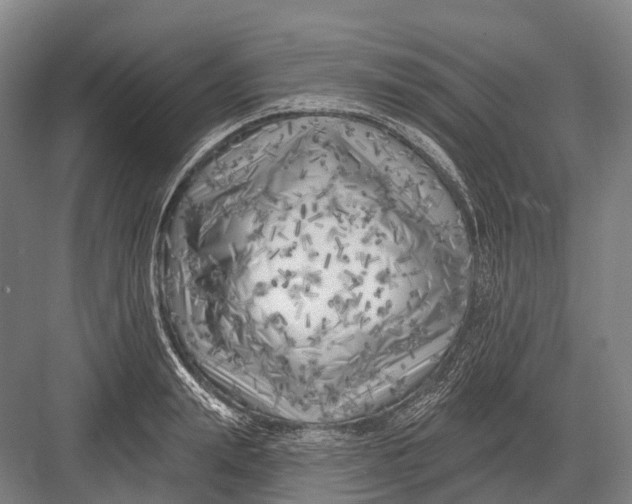 X0000082730847200702161905