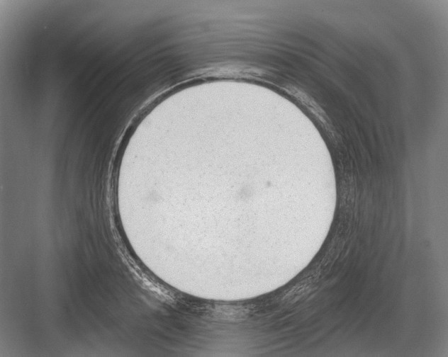 X0000082730848200702161905