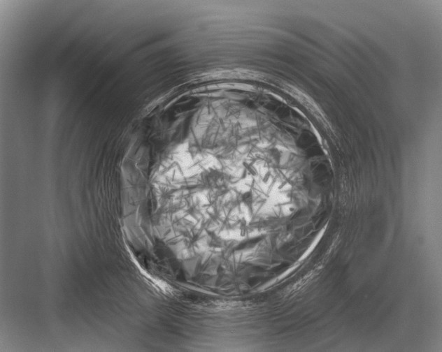 X0000082730849200702161905