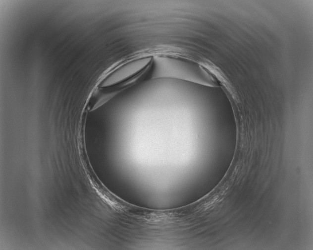 X0000082730850200702161905