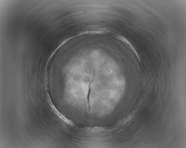 X0000082730851200702161905