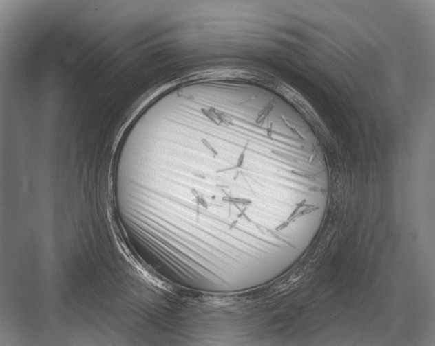 X0000082730852200702161905