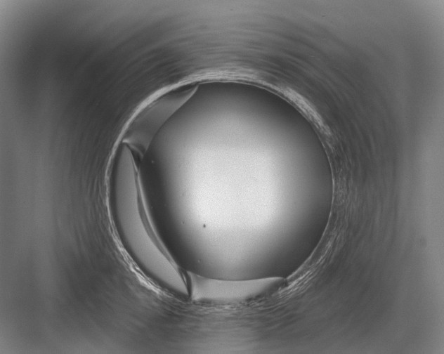 X0000082730854200702161905