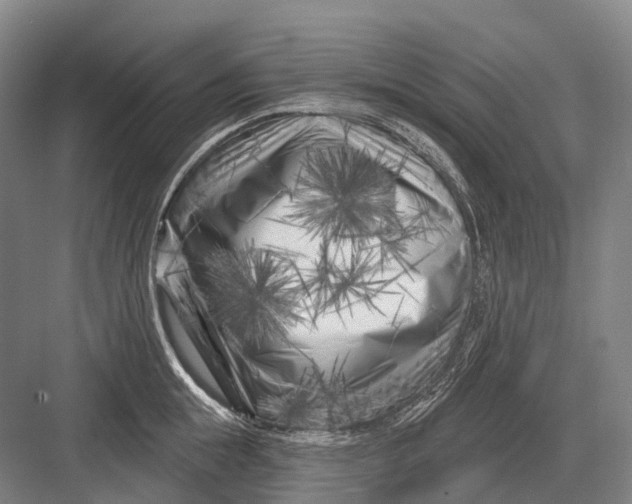 X0000082730855200702161905