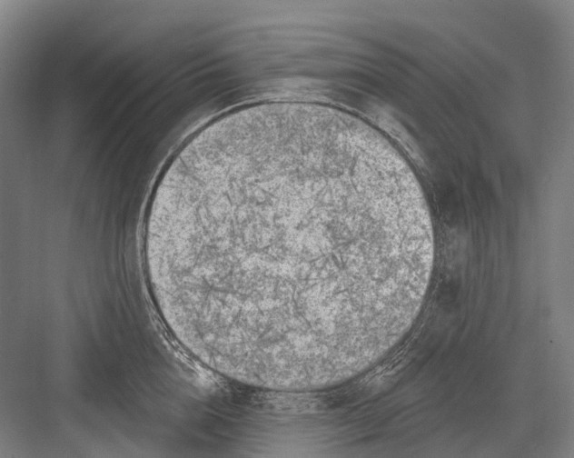 X0000082730856200702161905