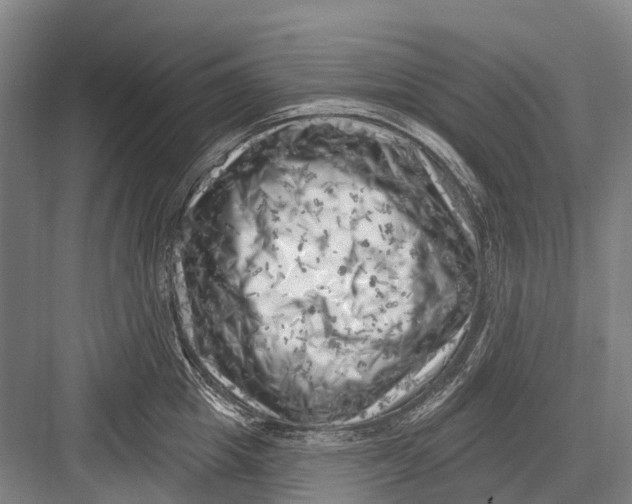 X0000082730857200702161905