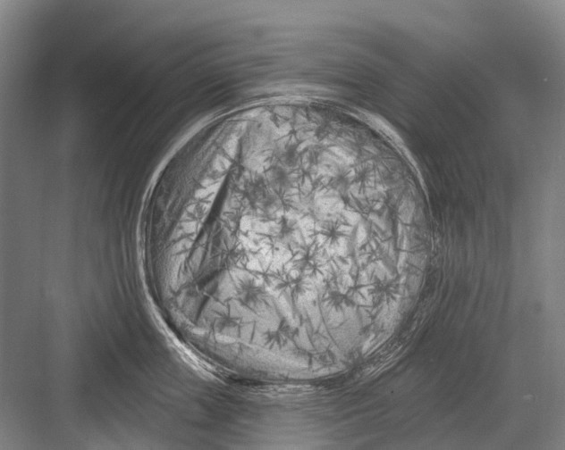 X0000082730859200702161905