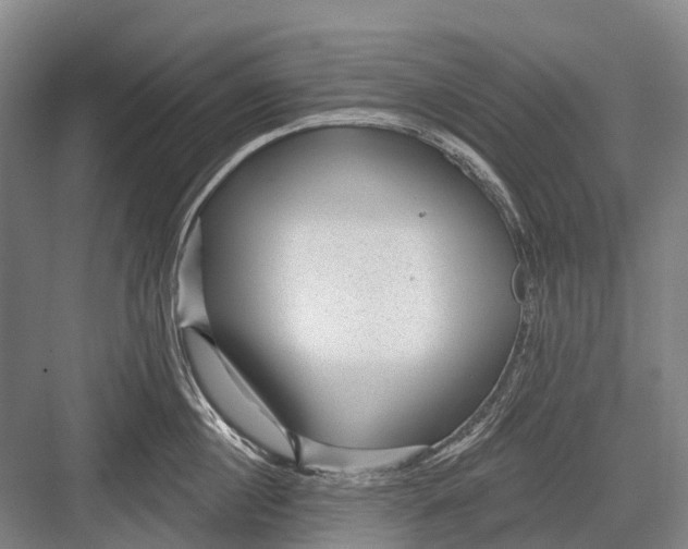 X0000082730860200702161905