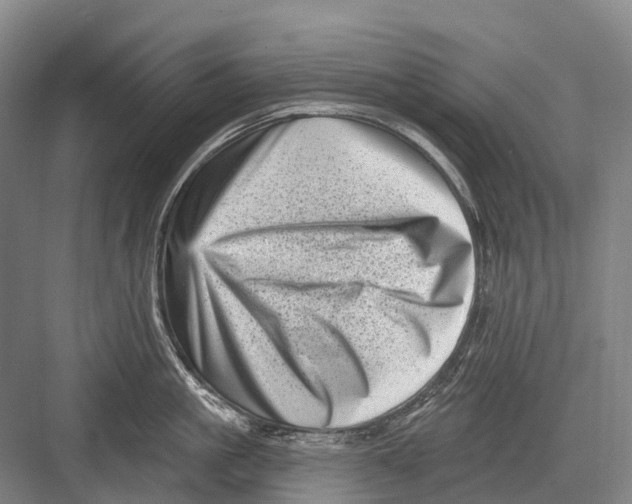 X0000082730861200702161905