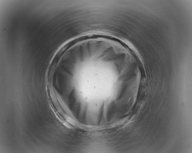 X0000082730862200702161905