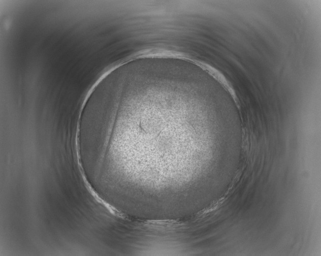 X0000082730863200702161905